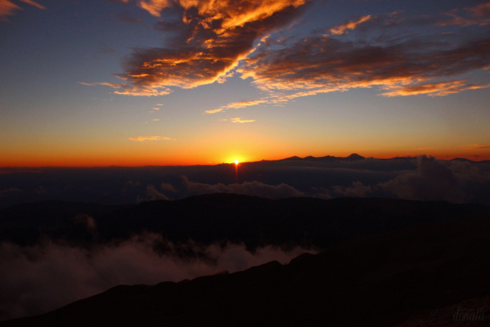 Как Фиби в отпуск съездила. Авторская бжд-мышка Лидии Снуль