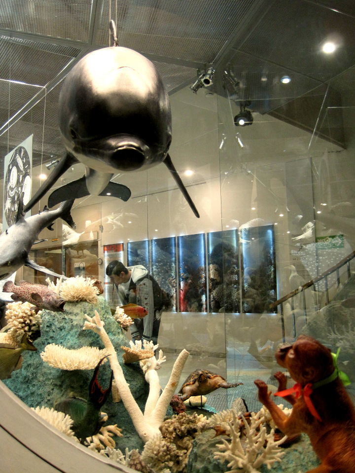 День в музее. Анжела в Государственном Дарвиновском музее