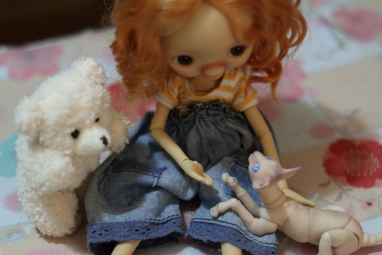 Впервые на Бэбиках - Смешная и милая Anako by Dododolls (фото 9)