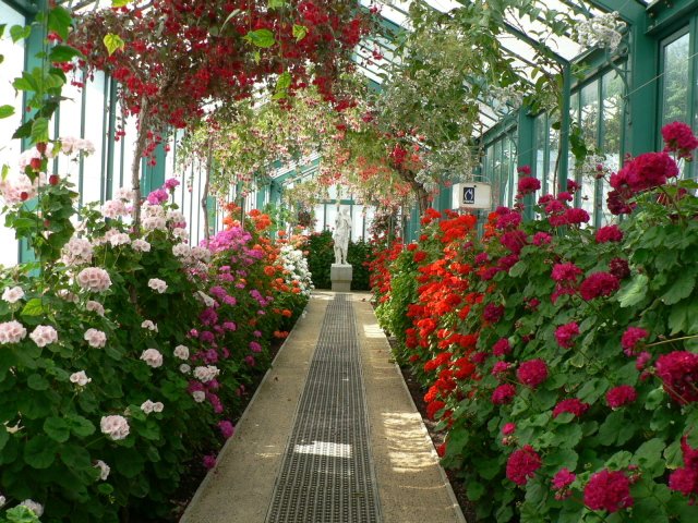 Весна. Цветы — Туризм и путешествия: фотоотчеты из поездок (фото 2)