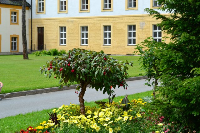 Опять хочу - нет не в Париж, а в Баварию