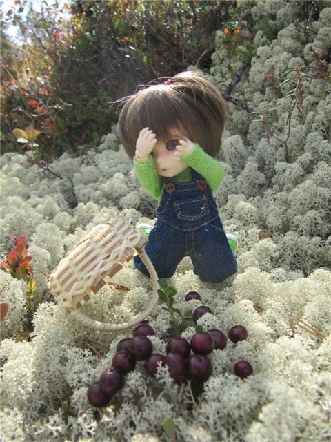 Как Майка за ягодами ходила. Кукла БЖД | Бэйбики Как Майка за ягодами ходила. Кукла БЖД (фото 7)