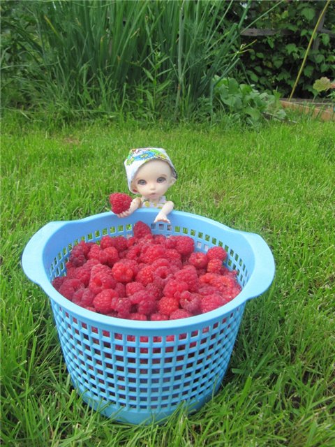 Воспоминания о лете. Куклы БЖД | Бэйбики Воспоминания о лете. Куклы БЖД