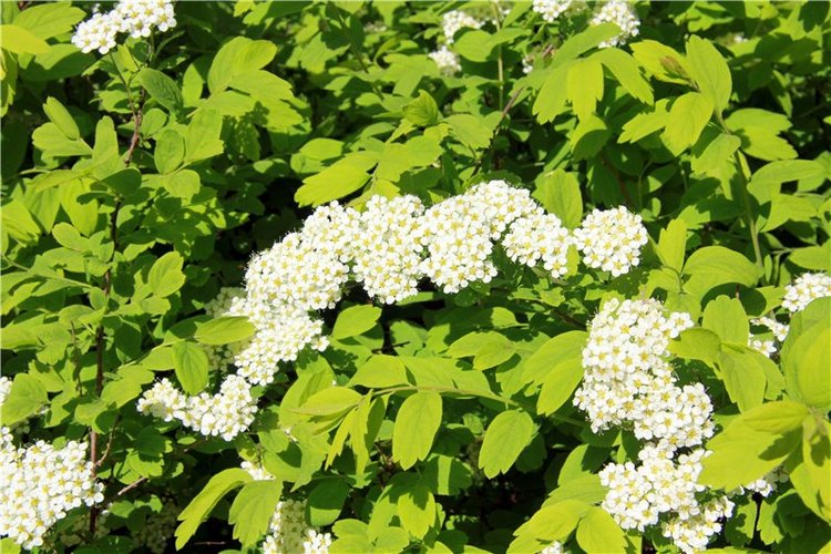 Субботний вояж. Третья часть | Бэйбики Субботний вояж. Третья часть (фото 8)