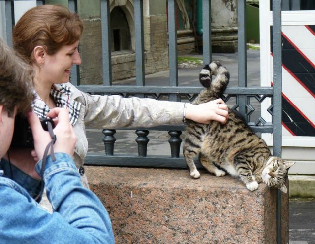 Праздник невыриков или Что вы делаете в выходные