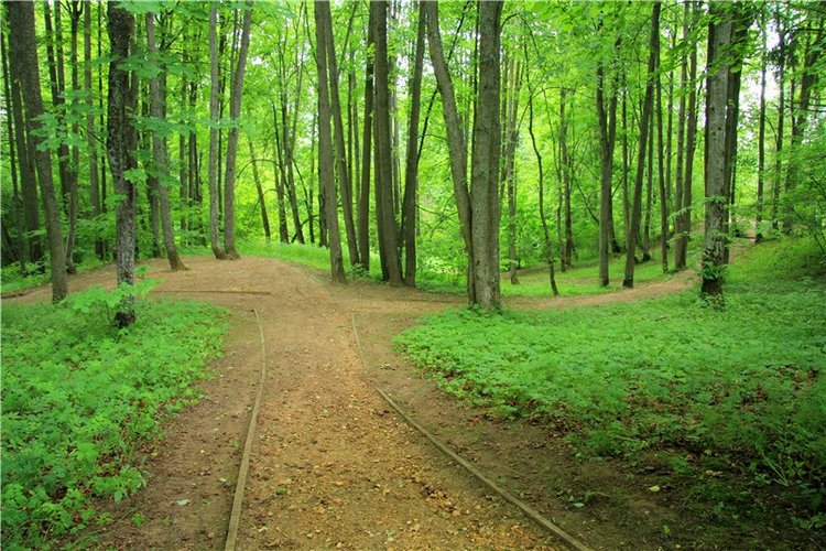 46-ой Пушкинский праздник поэзии в Берново. Часть первая