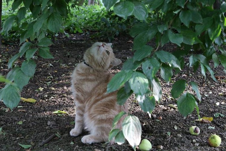 Те, кто нас любит и в домашнем халате, и без косметики, и растрепанными | Бэйбики Те, кто нас любит и в домашнем халате, и без косметики, и растрепанными