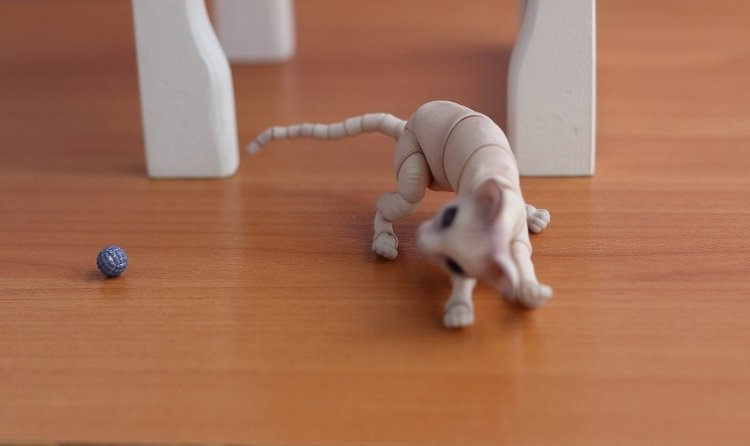 Кот играет с мячиком — Разные куклы BJD (БЖД): редкие бренды