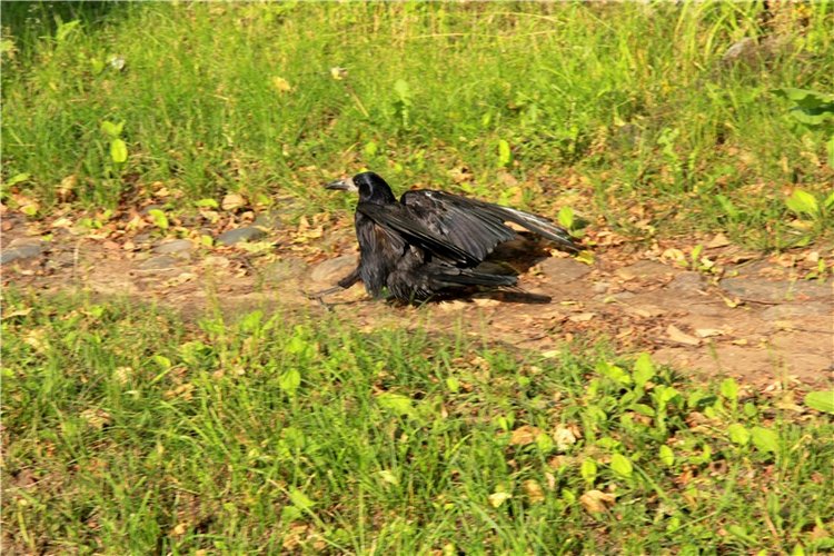 Русская Атлантида, заключительная часть. Калязин, Тверская область