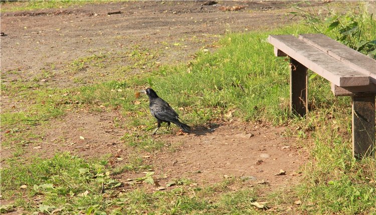 Русская Атлантида, заключительная часть. Калязин, Тверская область