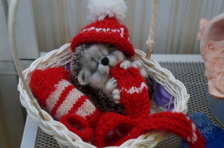 Hello, Teddy 2016! Слоники и ёжики на выставке в Москве. Фоторепортаж