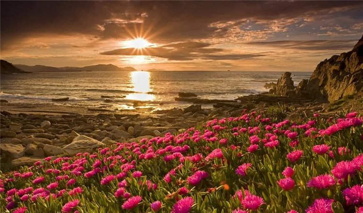 Под алыми вернусь я парусами к тебе, моя любимая Ассоль! (По следам конкурса "Мое небо")