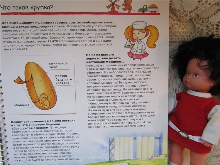 Путешествие в страну Макарон с куклами ANG и Shаlkau (фото 7)