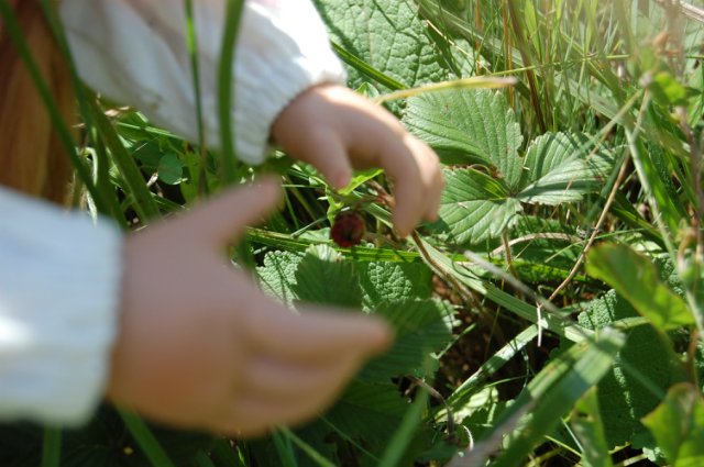 Путешествие по огромному миру! Ирис от E. Pfaffendorf и Тим от Susi Eimer