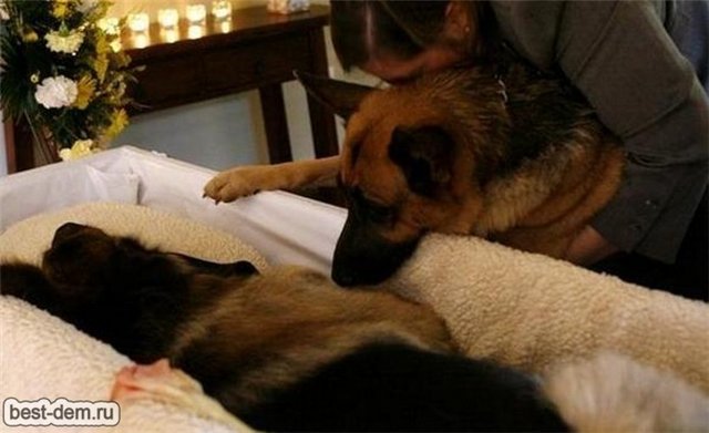 Не просто фото | Бэйбики Не просто фото — Болталка и разговоры обо всем: жизнь (фото 3)