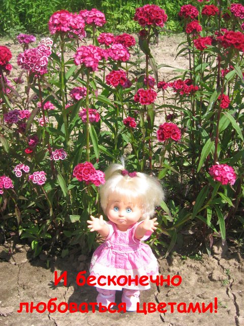 Как мои Фейсинки отдыхали