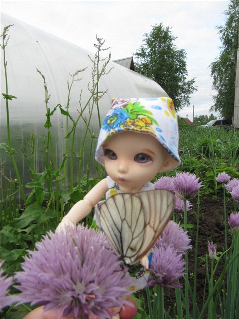 Воспоминания о лете. Куклы БЖД | Бэйбики Воспоминания о лете. Куклы БЖД (фото 4)