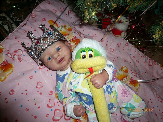 С наступающим Новым годом! Моя коллекция кукол 2012