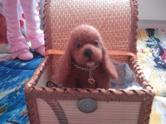 Ура! Мне подарили собаку! Лили и Тилли от Kaye Wiggs обзавелись питомцем (фото 4)