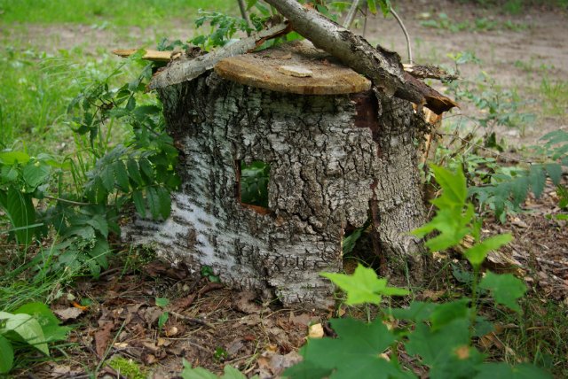 Как Кржемелик и Вахмурка ходили рыбу ловить