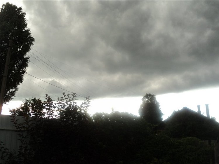 Ждем лета и верим в чудо! Куклы Готц и наряды (фото 2)