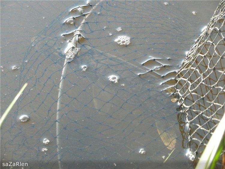 Рыбак рыбака видит из далека. Himmelschlusselchen от Annette Himstedt