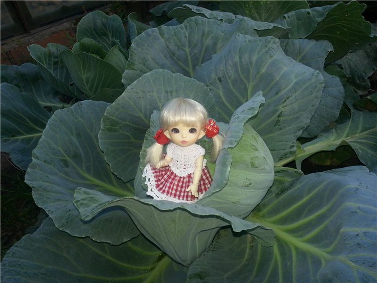 Маленькая дачница Элис. Кукла БЖД Пукифи Анте