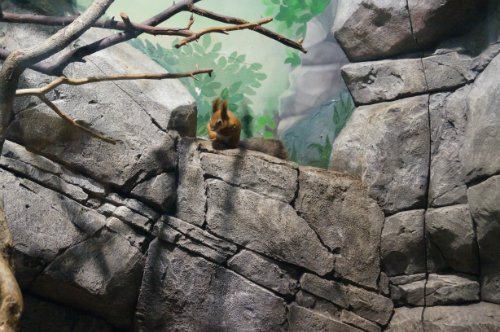 Воронежский океанариум — Туризм и путешествия: фотоотчеты из поездок (фото 9)