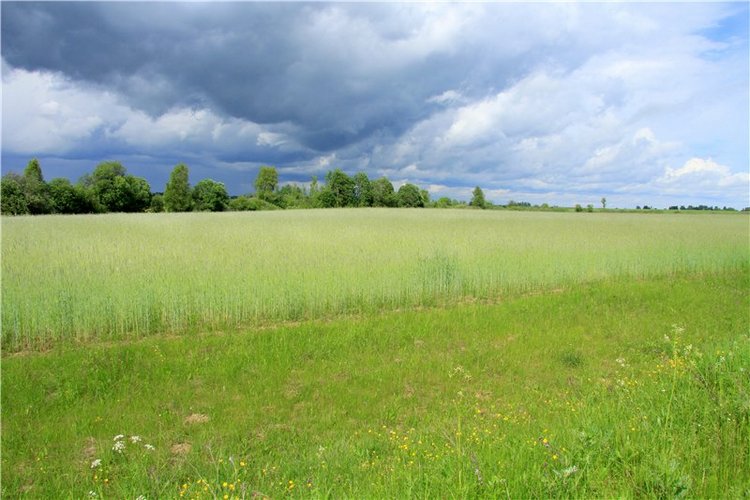 46-ой Пушкинский праздник поэзии в Берново. Часть вторая