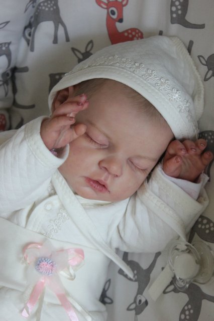 Малышка Ноа,мой нежный цветочек. Кукла реборн Катерины Осиповой-Коняевой