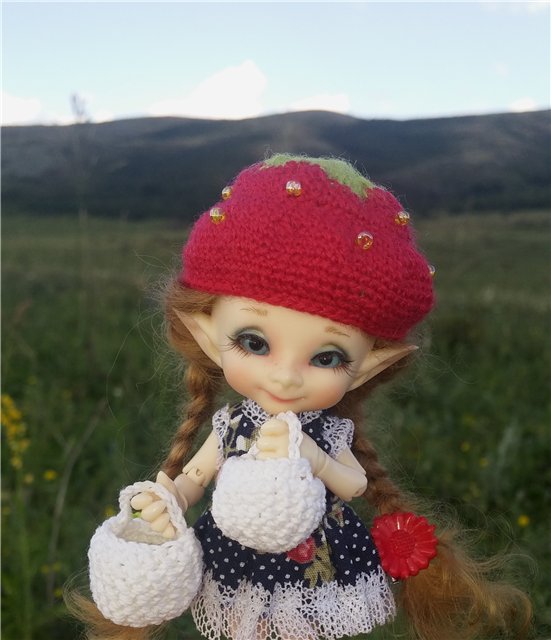 Земляничный день — Домашние коллекции кукол: фото собраний