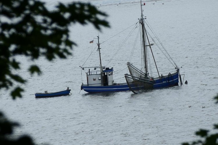 Hirschpark Hamburg. Олений парк. ВИДЕО