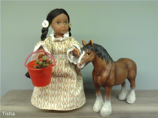 Kaya от American girl mini (фото 7)