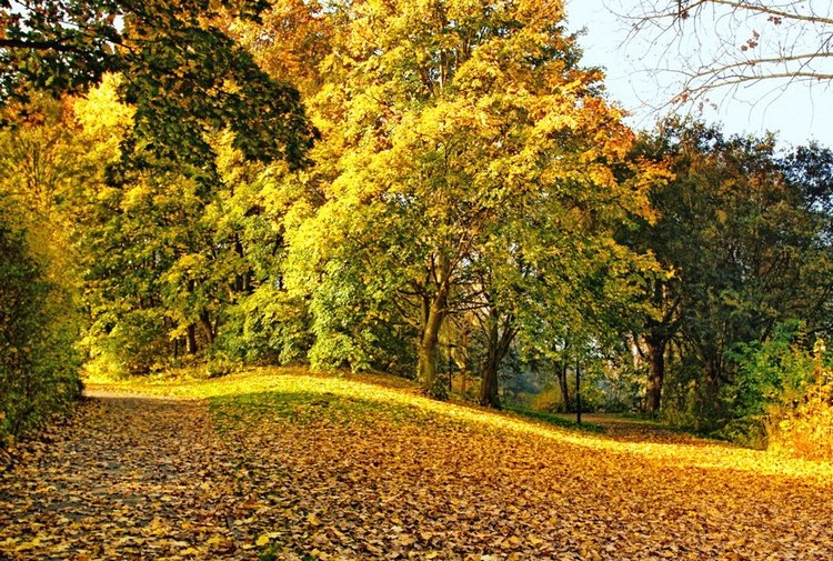 Красотка-осень — Болталка и разговоры обо всем: жизнь