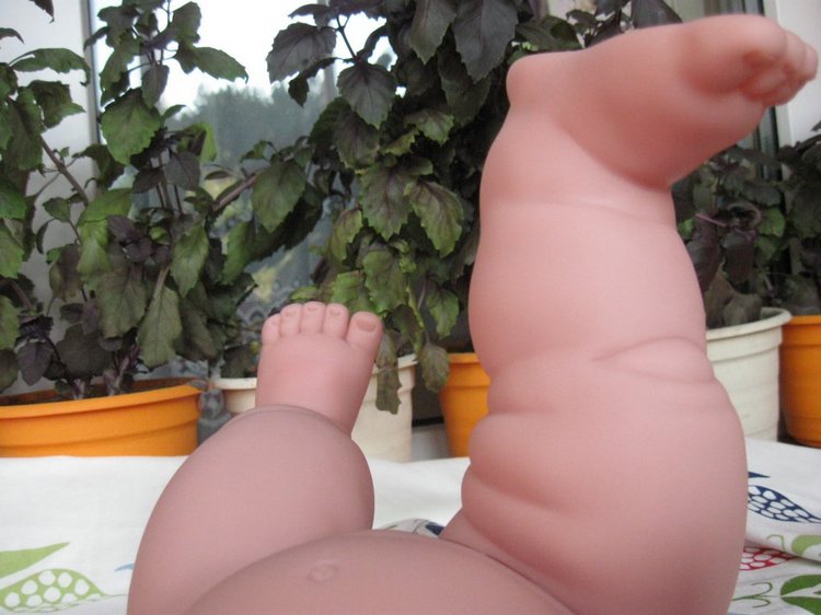 Глазастик и другие куколки