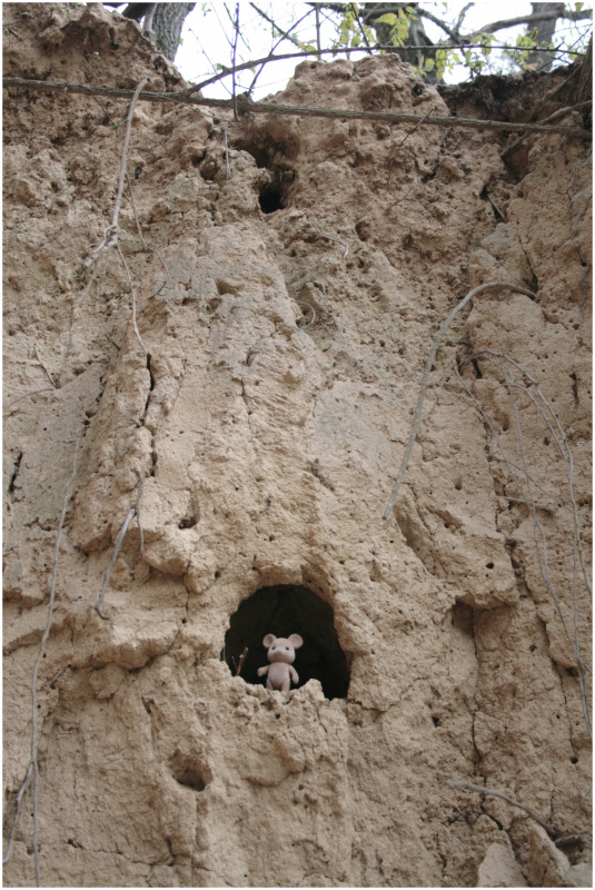 Мои любимые детки от Gabriele Müller