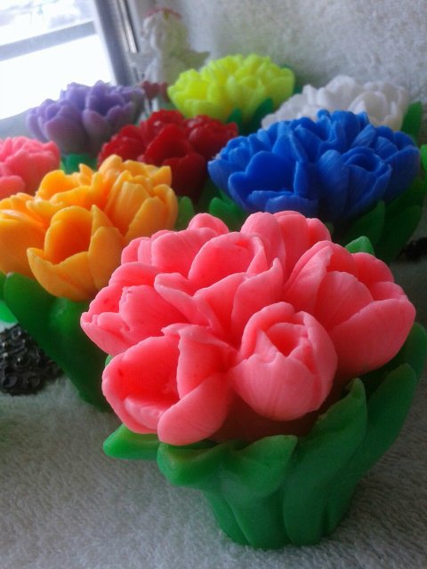 Мое мыловарение — Другие хобби и увлечения: сад (фото 4)