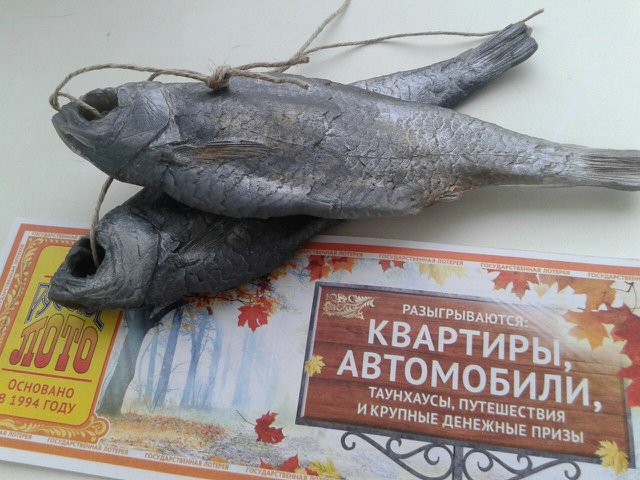 Мое мыловарение — Другие хобби и увлечения: сад (фото 7)