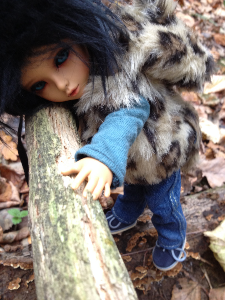 По делам и по грибам или одно другому не мешает (фото 4)