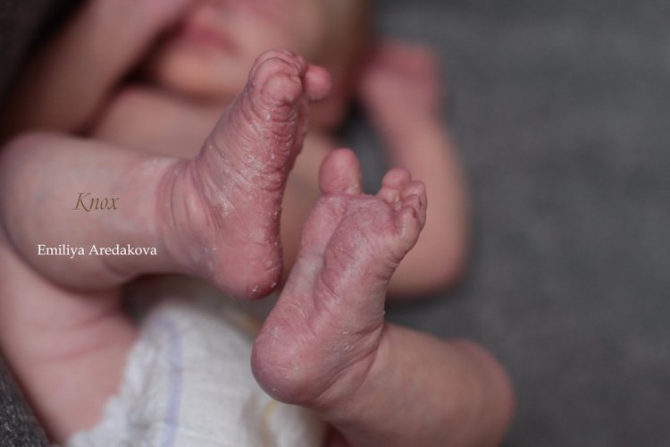 Мой реалистичный малыш реборн из молда Knox. Кукла Эмилии Аредаковой