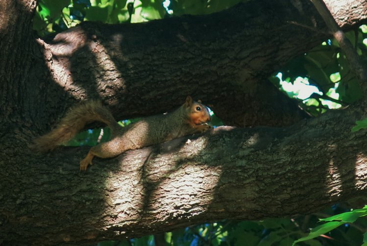 Субботняя прогулка — Болталка и разговоры обо всем: жизнь (фото 6)