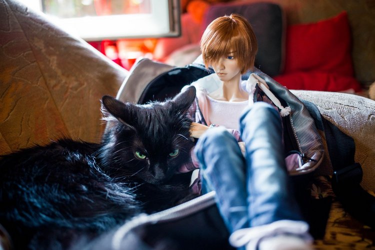 Наше лето — Разные куклы BJD (БЖД): редкие бренды (фото 5)