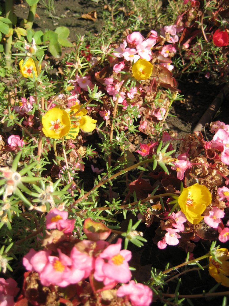 Вот такая вот Болгария — Туризм и путешествия: фотоотчеты из поездок