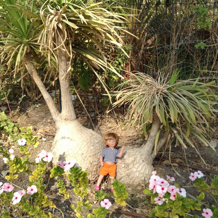 Белое солнце пустыни. Ч.1 Дорога к морю