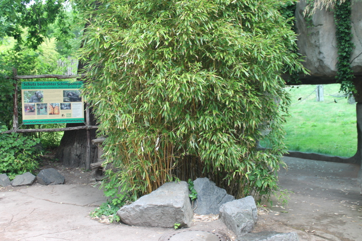 По Германии: зоопарк Лейпцига, часть 3