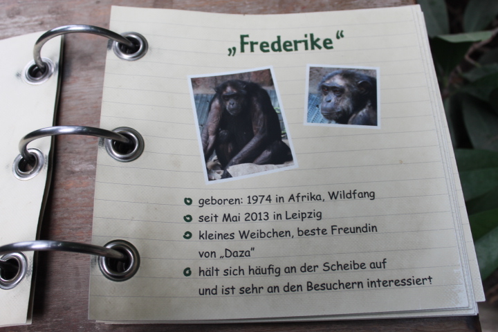 По Германии: зоопарк Лейпцига, часть 3