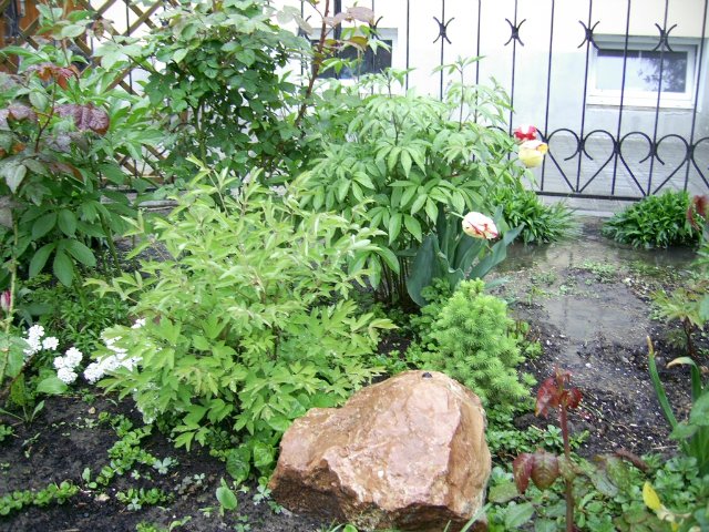 Коллекционная кукла Пиппина от Сюзан Липпл