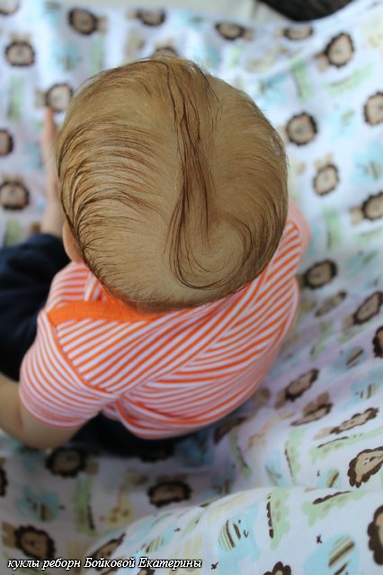 Куколка реборн Franzy Бойковой Екатерины (фото 2)
