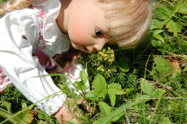 Путешествие по огромному миру! Ирис от E. Pfaffendorf и Тим от Susi Eimer