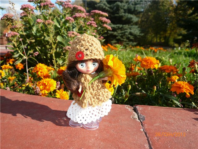 Мои Блайзочки — Оригинальные куклы Blythe (Блайз): Takara